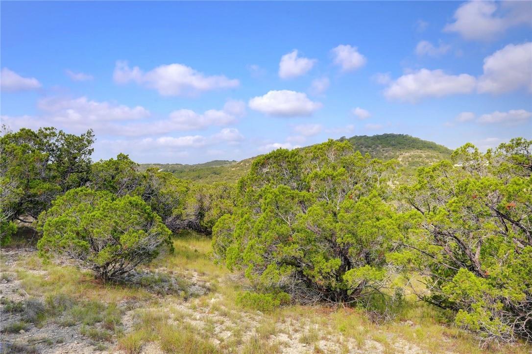 Lot 129 & 130 Lynx Cove Road Blanco TX 78606