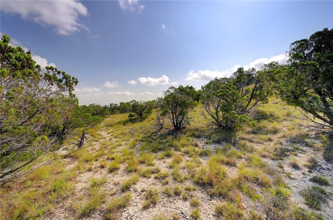 Lot 129 & 130 Lynx Cove Road Blanco TX 78606
