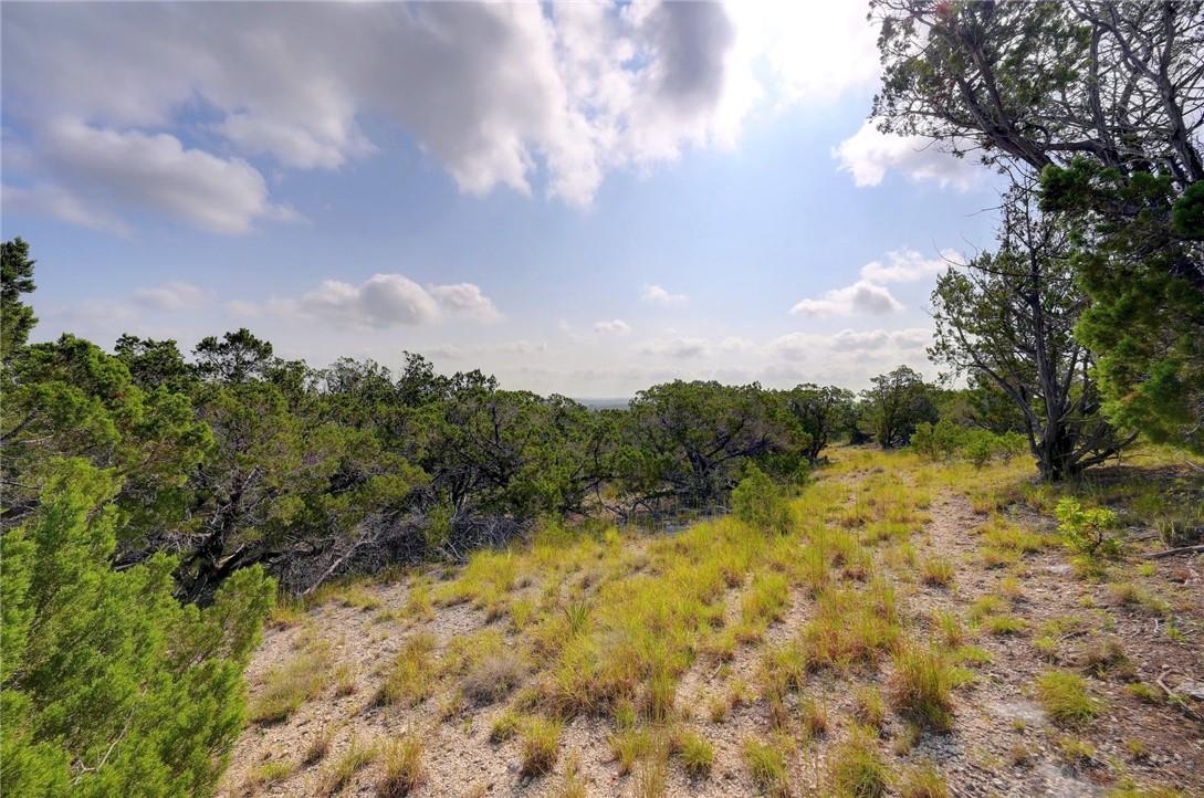 Lot 129 & 130 Lynx Cove Road Blanco TX 78606