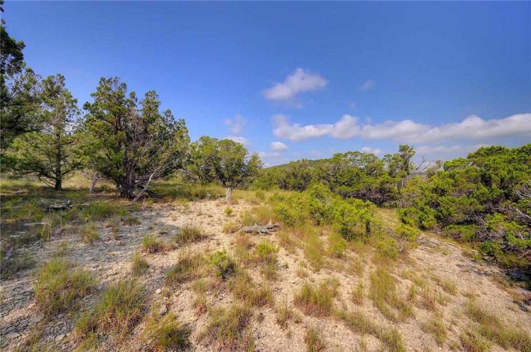 Lot 129 & 130 Lynx Cove Road Blanco TX 78606