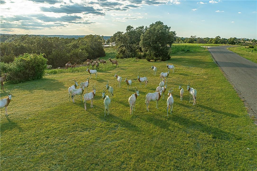 Lot 129 & 130 Lynx Cove Road Blanco TX 78606