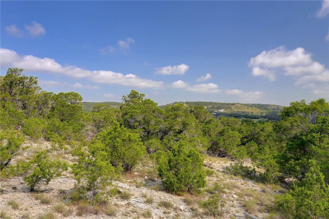 Lot 129 & 130 Lynx Cove Road Blanco TX 78606
