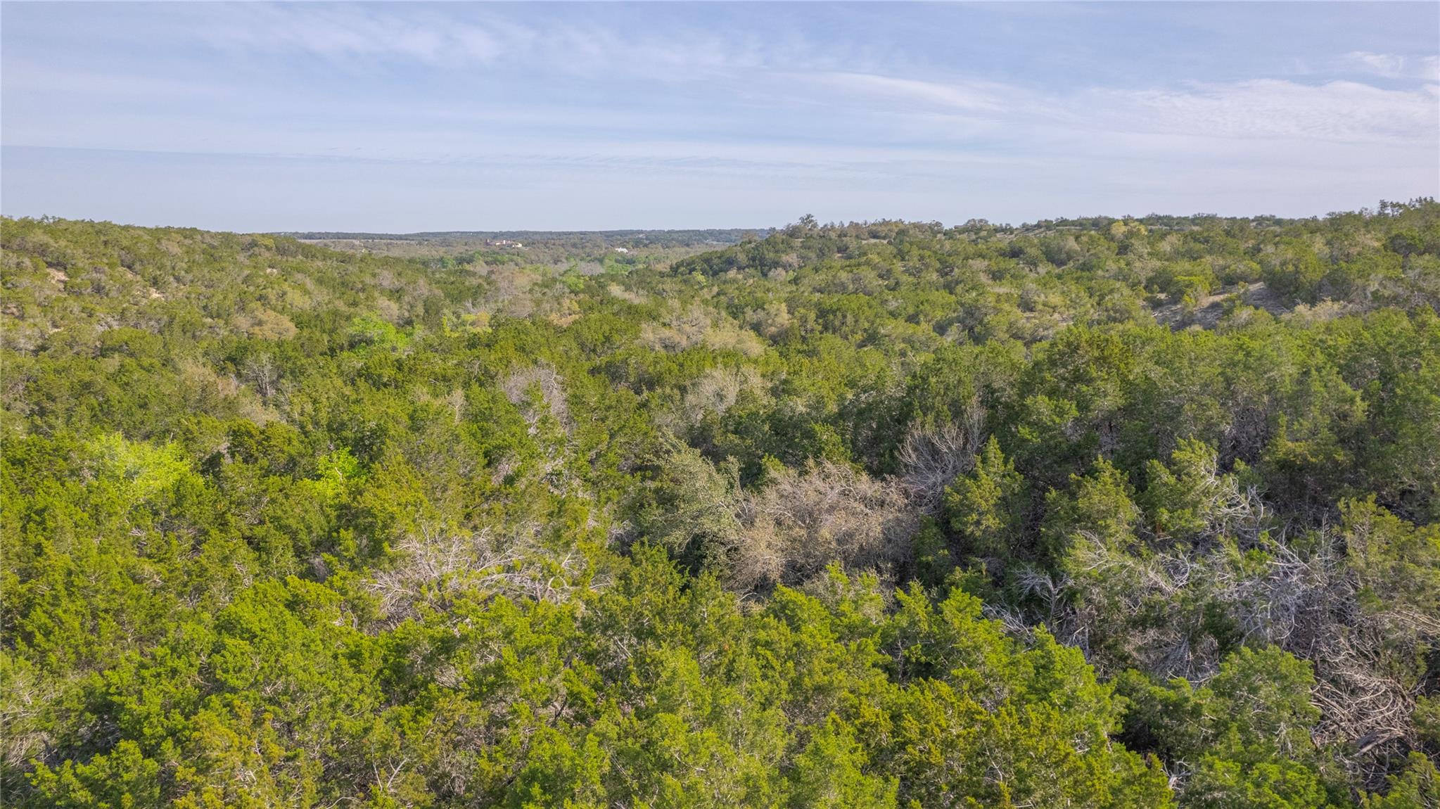Tbd Bell Springs Road Dripping Springs TX 78620