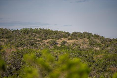 Tbd Bell Springs Road Dripping Springs TX 78620