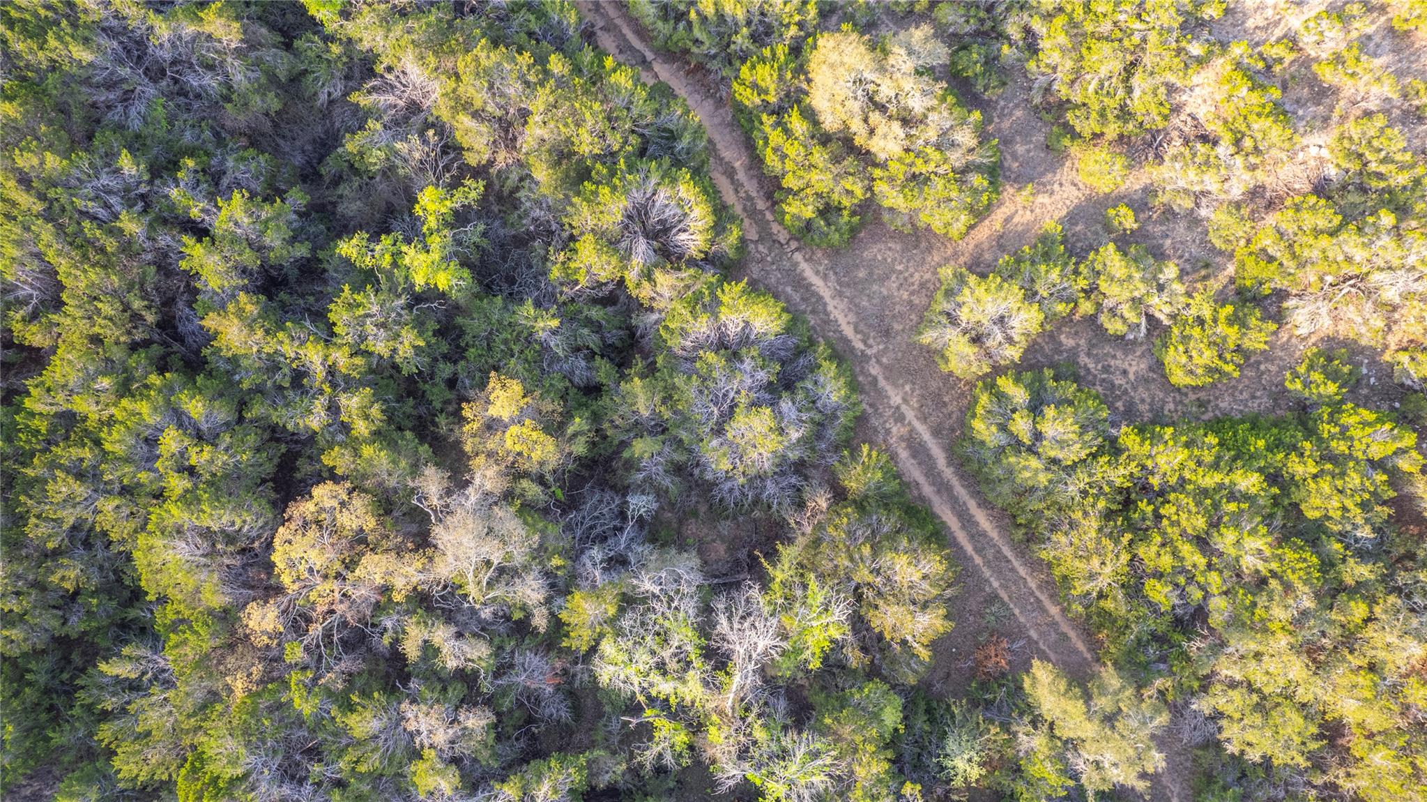 Tbd Bell Springs Road Dripping Springs TX 78620