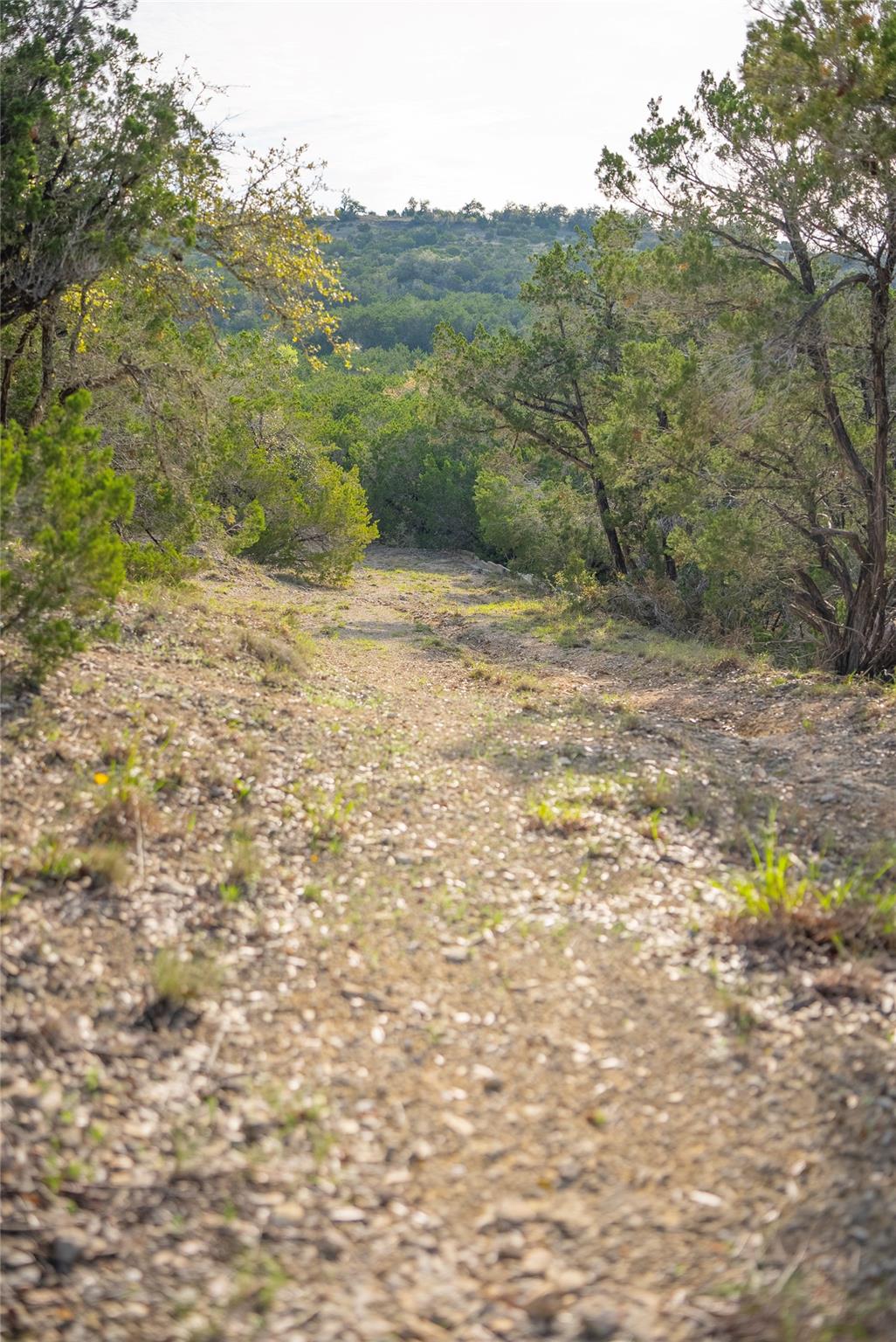Tbd Bell Springs Road Dripping Springs TX 78620