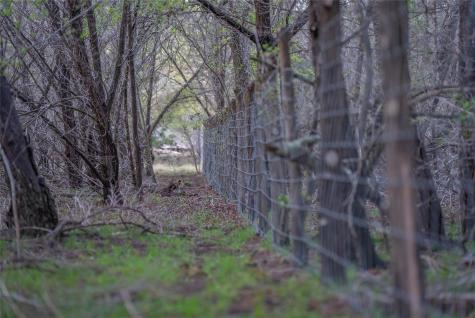 Tbd Bell Springs Road Dripping Springs TX 78620