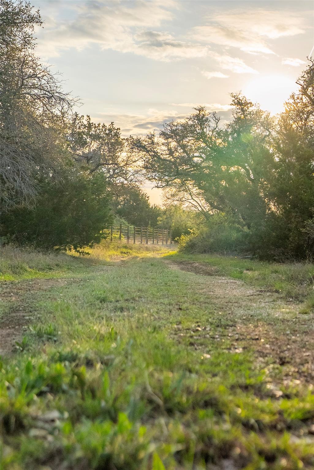 Tbd Bell Springs Road Dripping Springs TX 78620