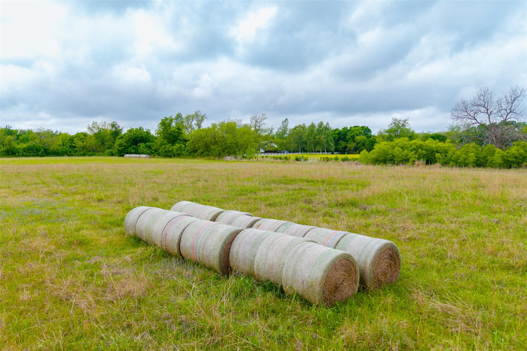 18.45 Acres Fm 1660 Taylor TX 76574
