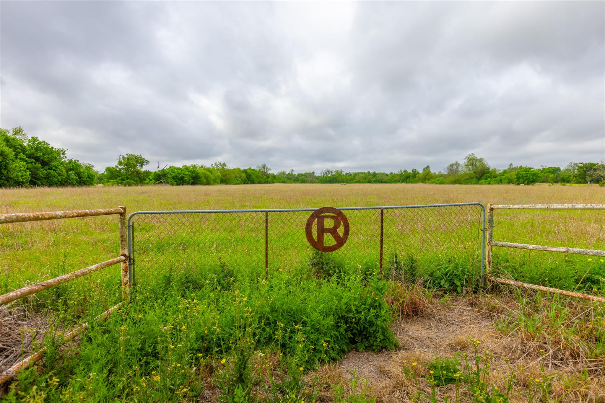 18.45 Acres Fm 1660 Taylor TX 76574