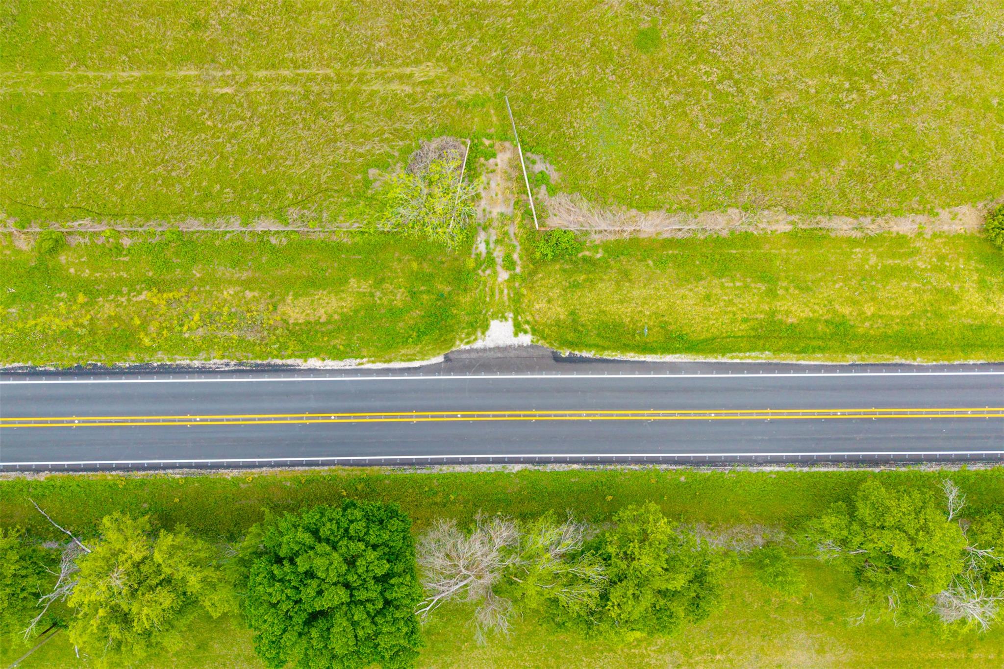 18.45 Acres Fm 1660 Taylor TX 76574