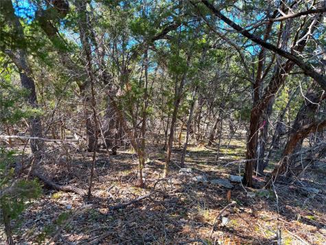 426 Clay Ridge Canyon Lake TX 78133