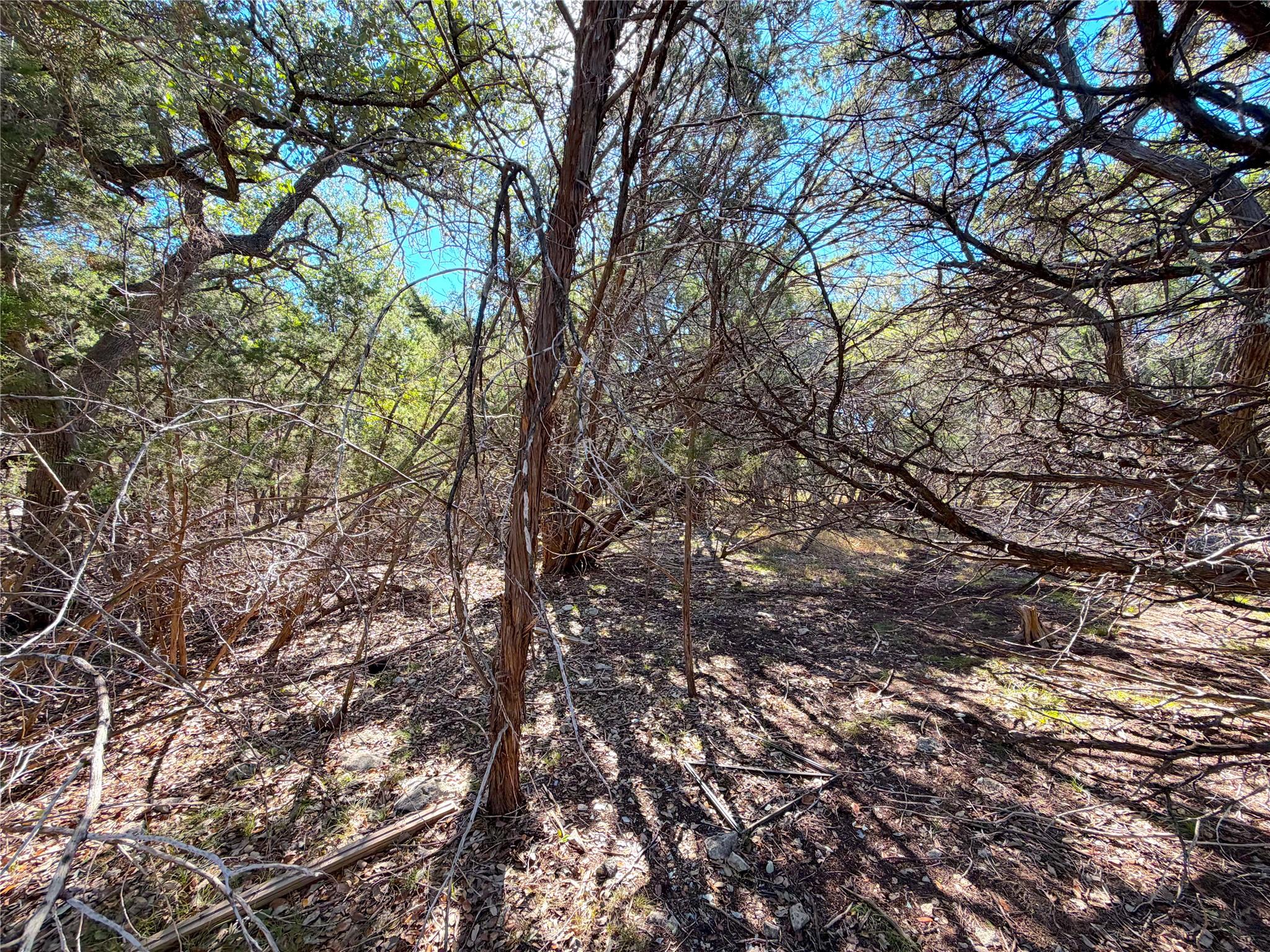 426 Clay Ridge Canyon Lake TX 78133
