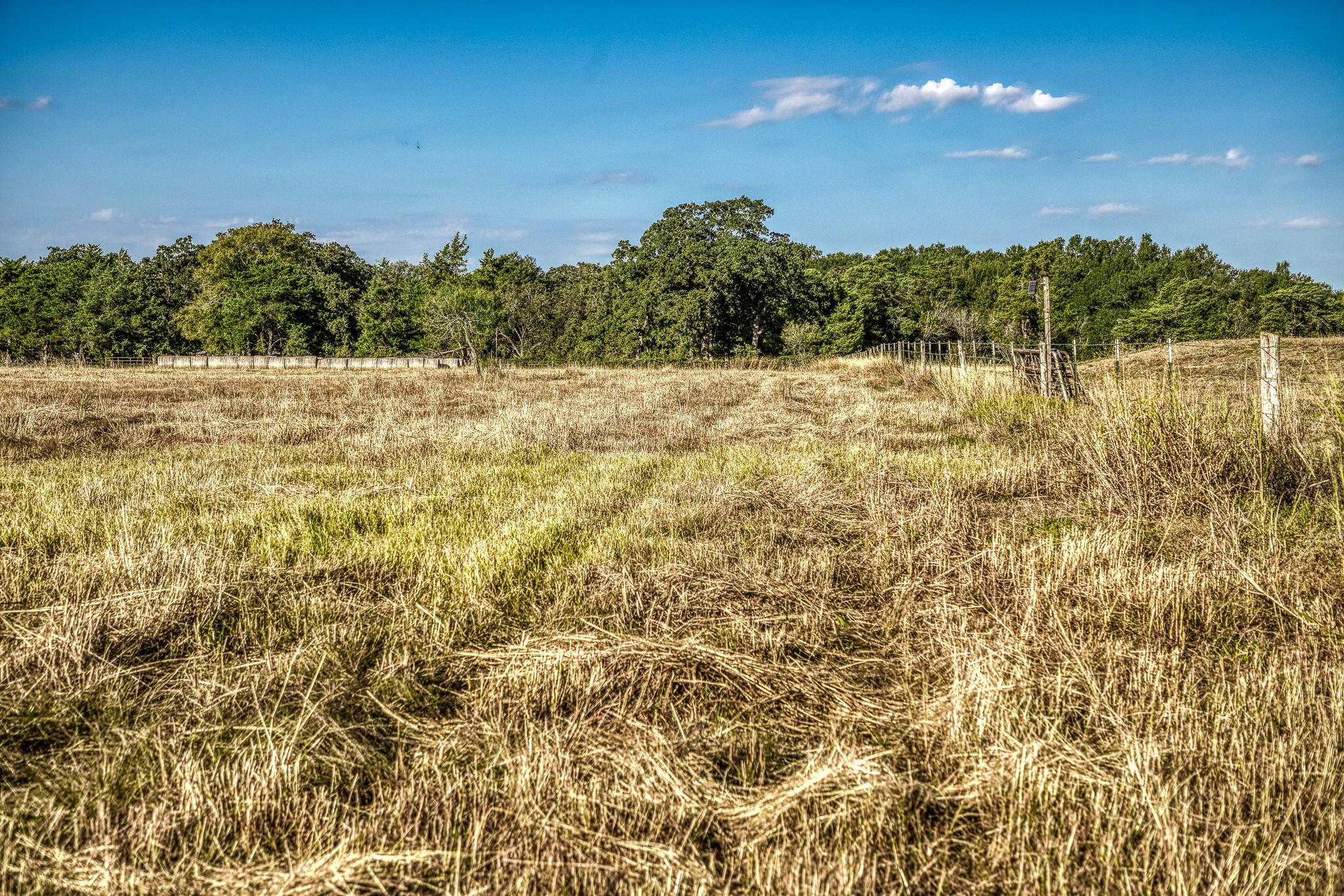 460 County Road 328 Caldwell TX 77836