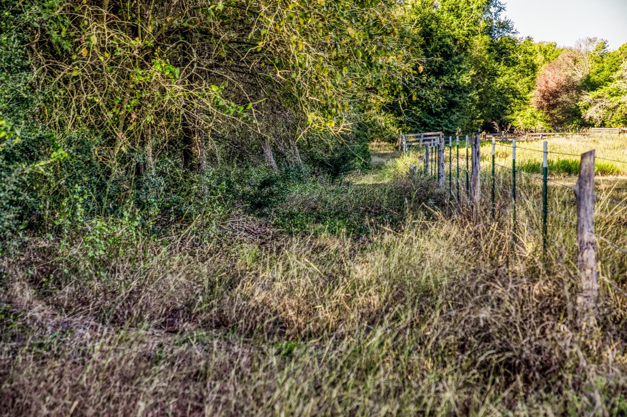 460 County Road 328 Caldwell TX 77836