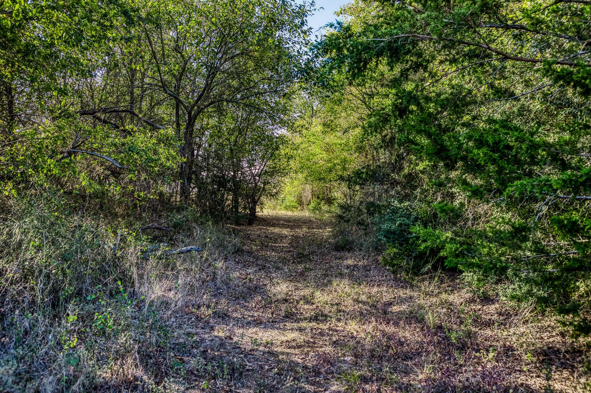 460 County Road 328 Caldwell TX 77836