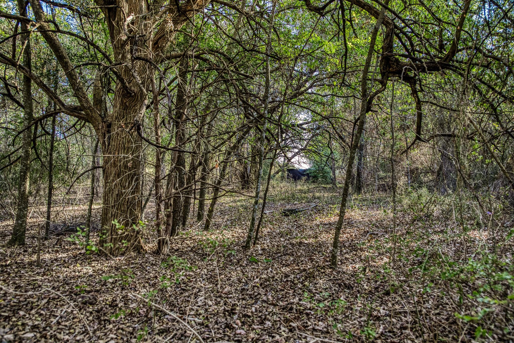 460 County Road 328 Caldwell TX 77836