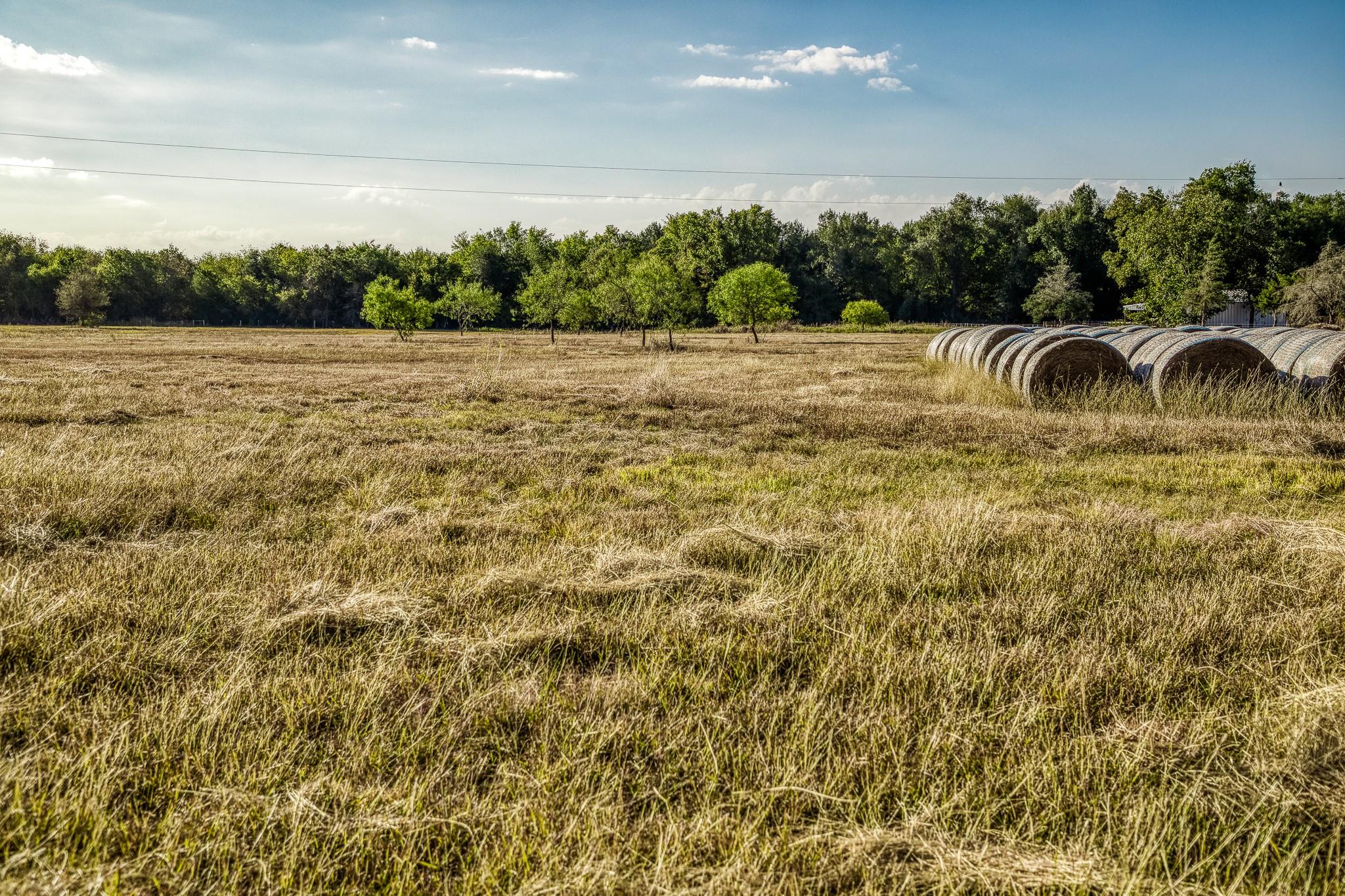 460 County Road 328 Caldwell TX 77836