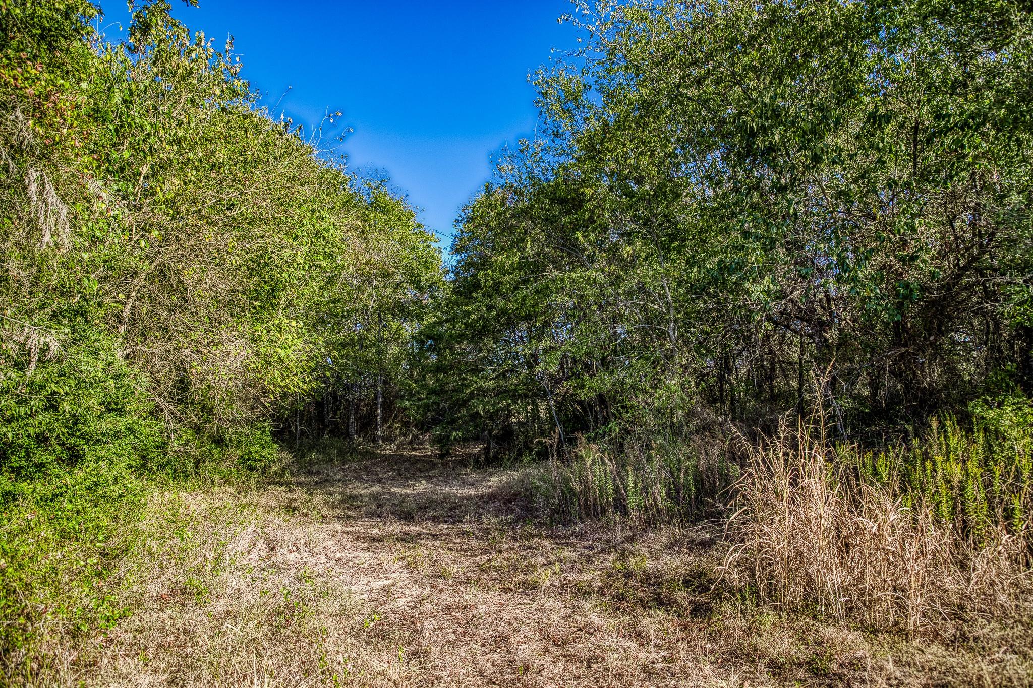460 County Road 328 Caldwell TX 77836