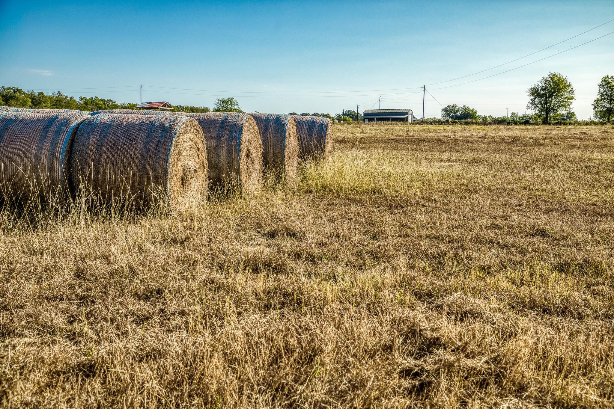 460 County Road 328 Caldwell TX 77836