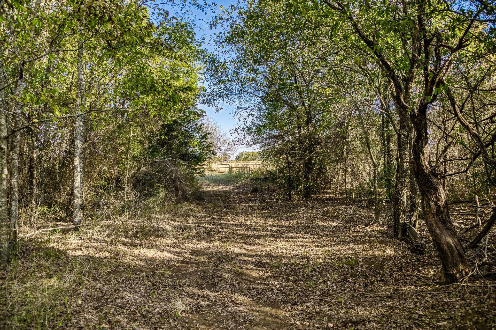 460 County Road 328 Caldwell TX 77836