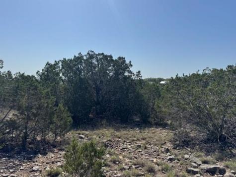 Lot 53 Balcones Ridge Way Bertram TX 78605