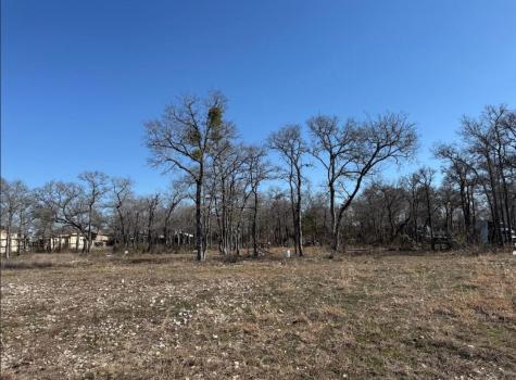 121 Pink Dahlia Drive Dale TX 78616