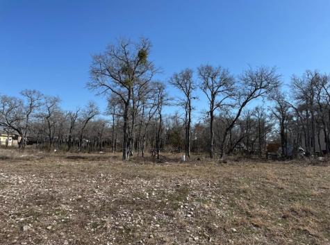 121 Pink Dahlia Drive Dale TX 78616