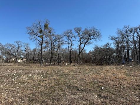 121 Pink Dahlia Drive Dale TX 78616