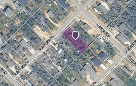 121 Pink Dahlia Drive Dale TX 78616