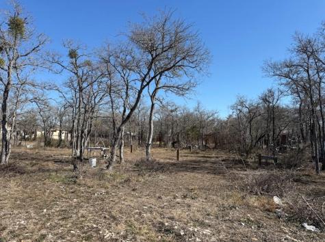 121 Pink Dahlia Drive Dale TX 78616