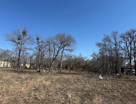 121 Pink Dahlia Drive Dale TX 78616