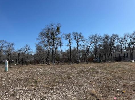 121 Pink Dahlia Drive Dale TX 78616