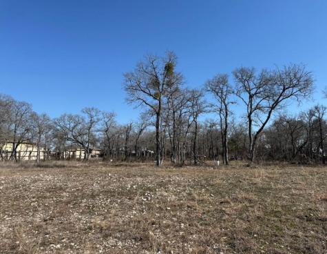 121 Pink Dahlia Drive Dale TX 78616