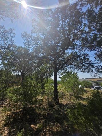 3301 Constitution Drive Lago Vista TX 78645