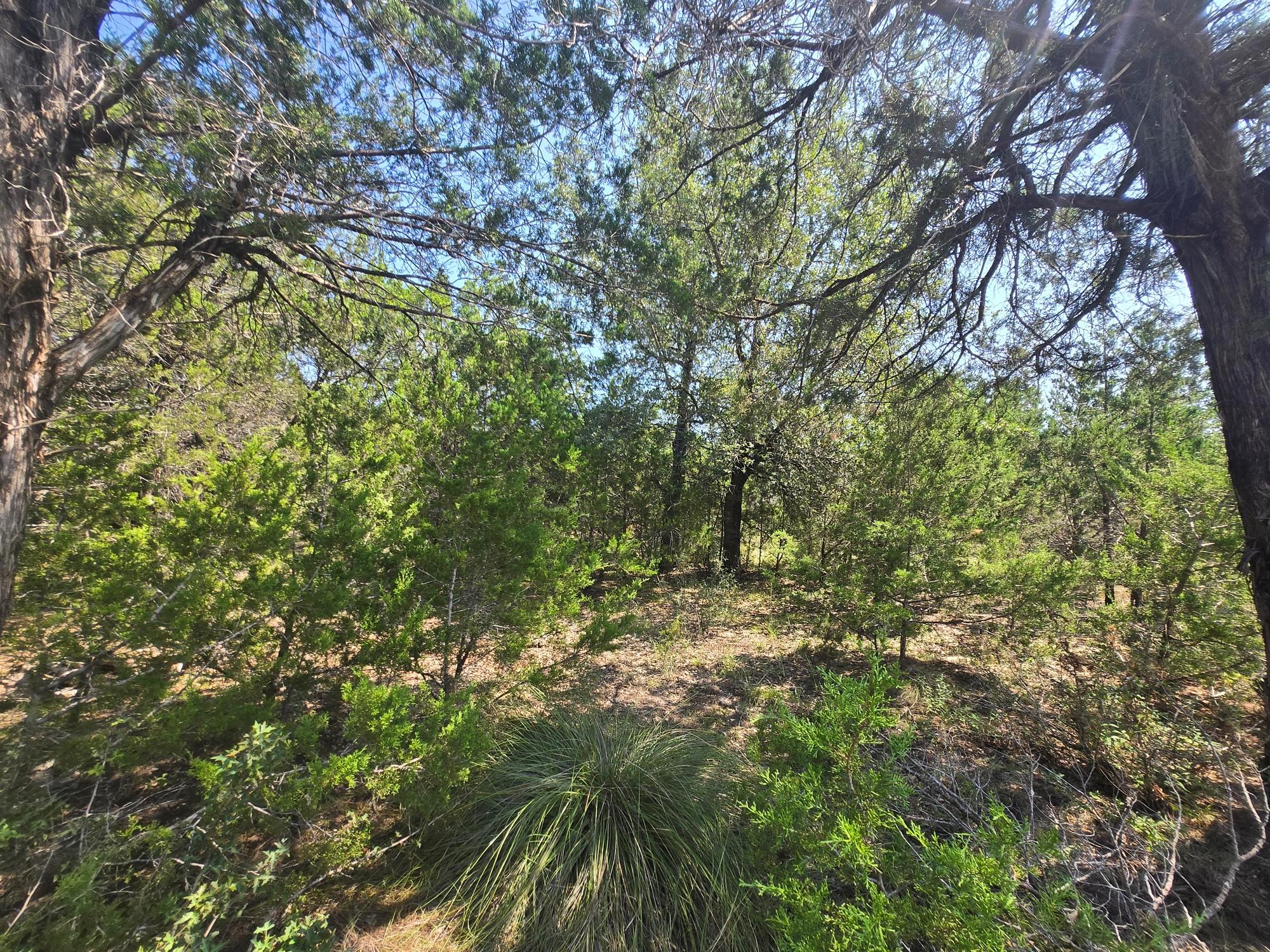 3301 Constitution Drive Lago Vista TX 78645