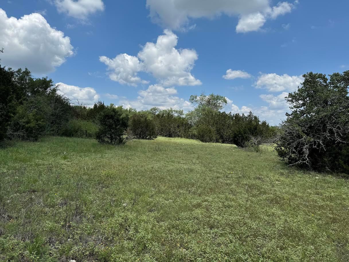 Tract 10b-3 Miller Creek Briggs TX 78608
