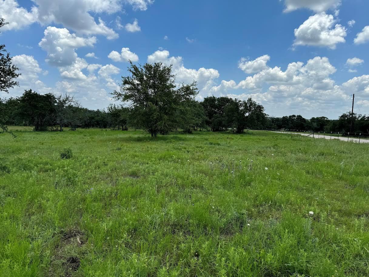 Tract 10b-3 Miller Creek Briggs TX 78608