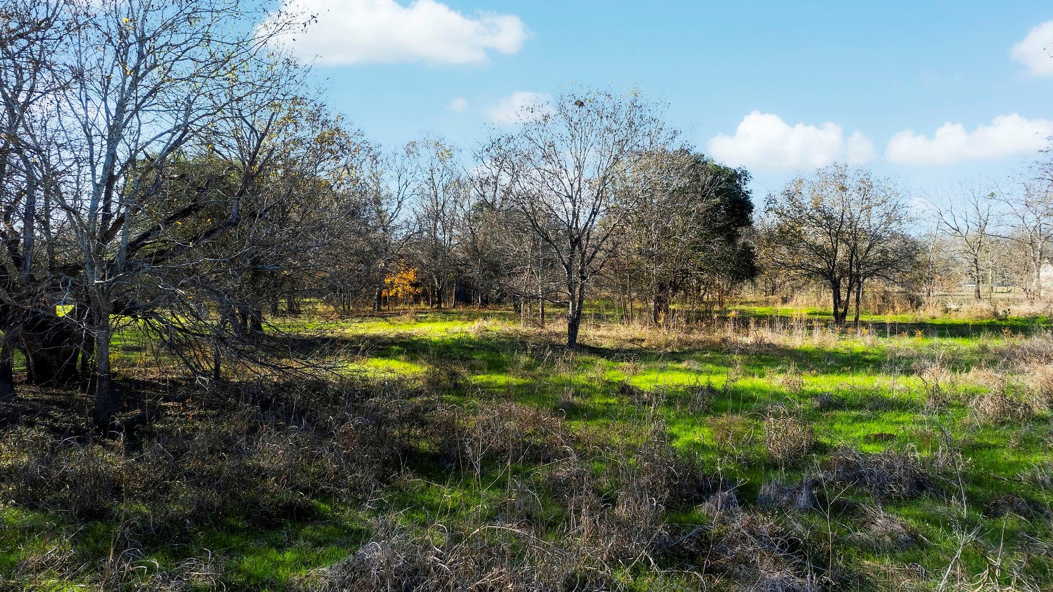 12406 Wirth Road Manchaca TX 78652