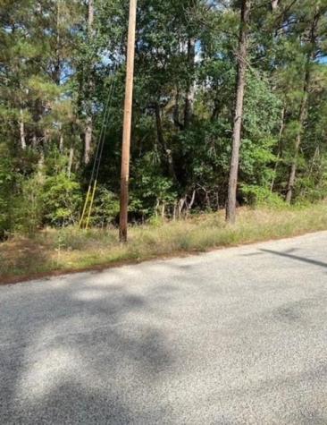 Lot 93 Papawai Drive Bastrop TX 78602