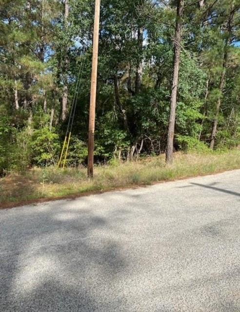 Lot 93 Papawai Drive Bastrop TX 78602