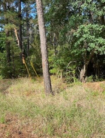 Lot 93 Papawai Drive Bastrop TX 78602