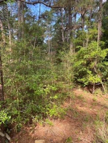 Lot 93 Papawai Drive Bastrop TX 78602