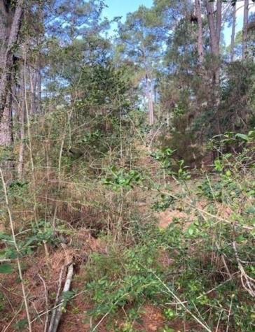 Lot 93 Papawai Drive Bastrop TX 78602