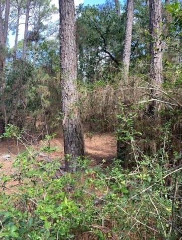 Lot 93 Papawai Drive Bastrop TX 78602