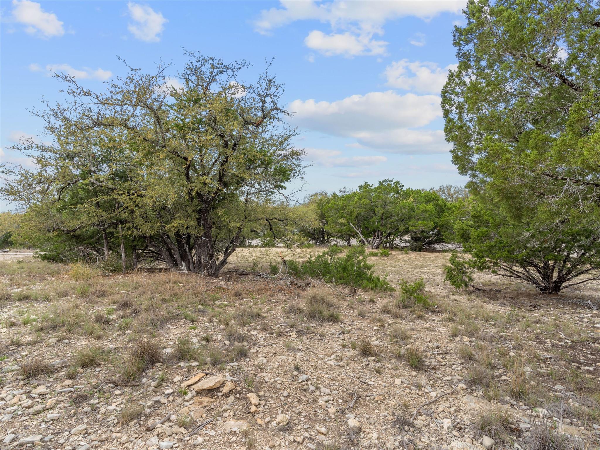 21512 Perry Cove Lago Vista TX 78645