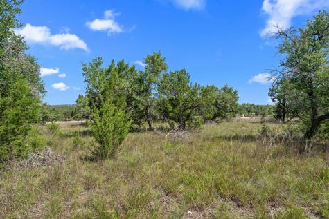 32000 Mirela Ann Road Dripping Springs TX 78620