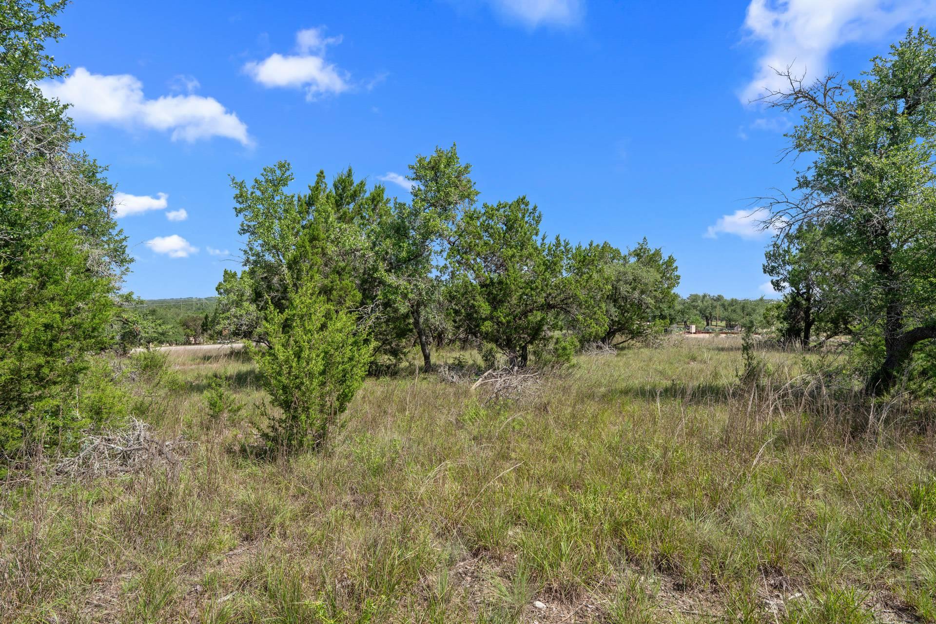 32000 Mirela Ann Road Dripping Springs TX 78620