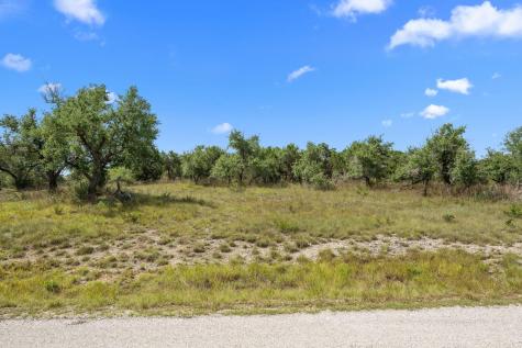 32000 Mirela Ann Road Dripping Springs TX 78620