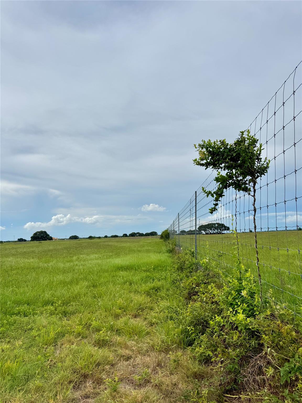Tbd Tract 105 Pin Tail Lane Rock Island TX 78934
